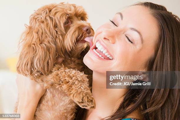 caucasian woman playing with pet dog - women licking women stock pictures, royalty-free photos & images