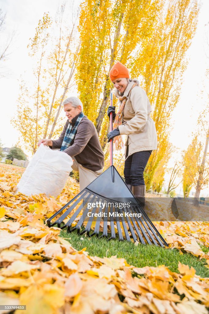 Older Caucasian couple raking autumn leaves