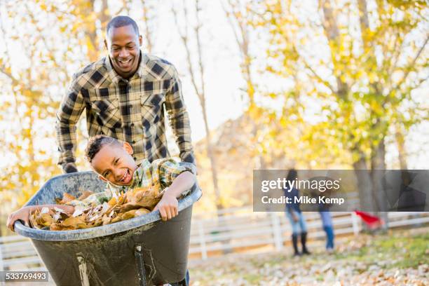 father pushing son in wheelbarrow in autumn leaves - season 6 stock-fotos und bilder