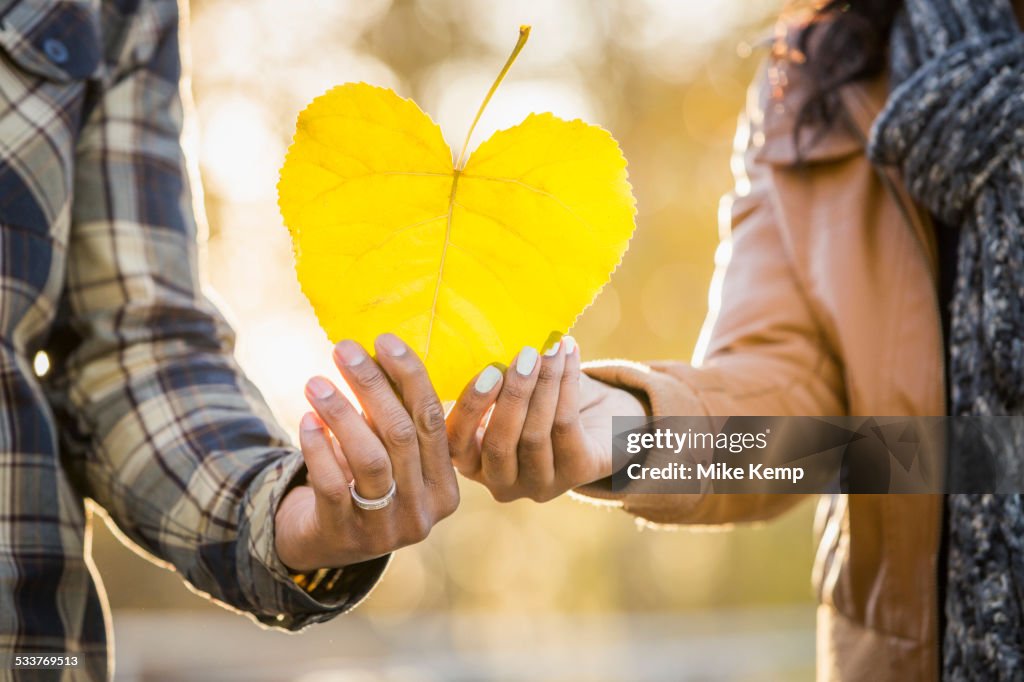 Close up of Black couple holding heart shaped leaf
