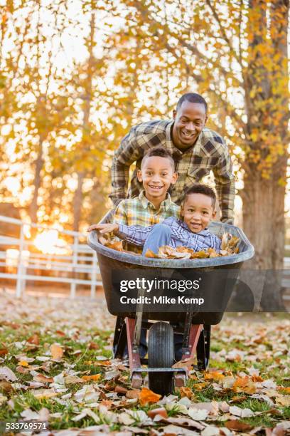 father pushing sons in wheelbarrow in autumn leaves - season 6 stock-fotos und bilder