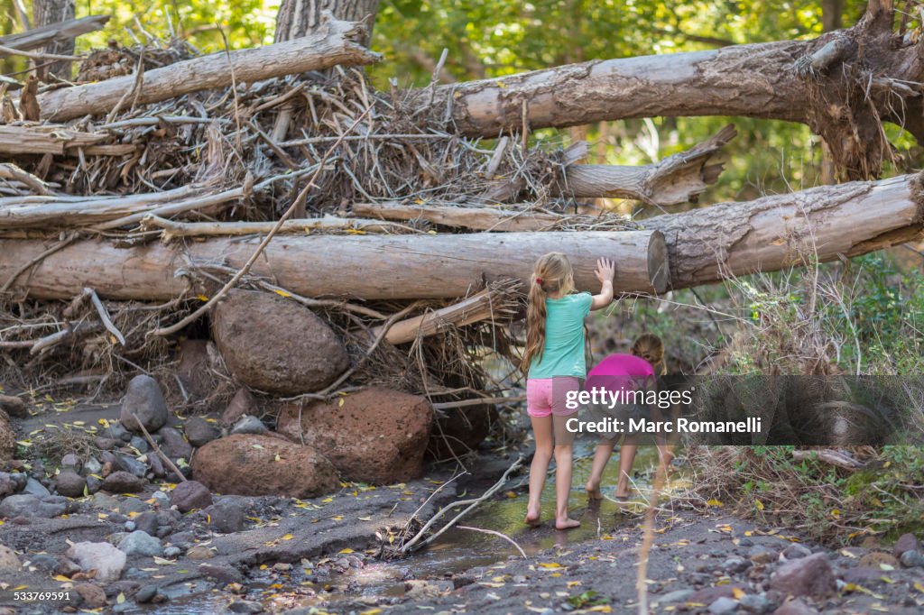 Caucasian girls exploring creek in forest