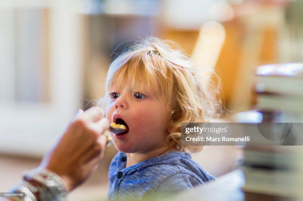 Mother feeding son at table