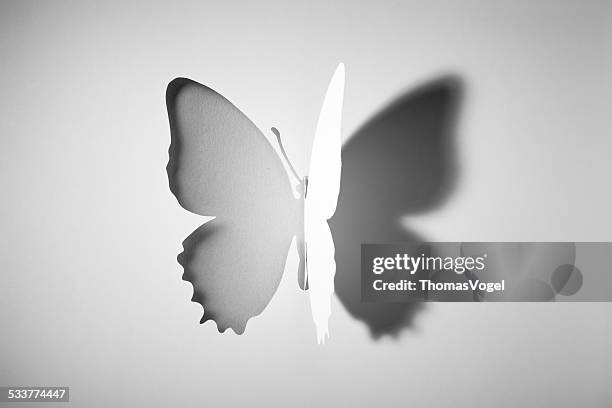 cut out paper buttlerfly - art from the shadows stock pictures, royalty-free photos & images