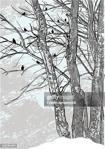 barren winter trees - bare tree stock illustrations