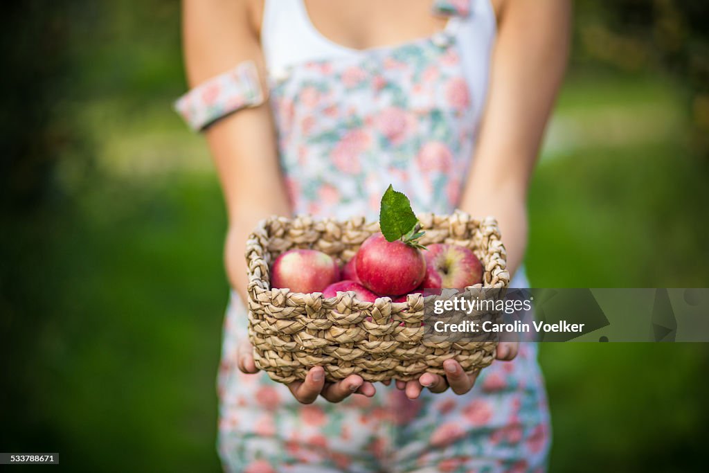 Girl holding a basket of apples