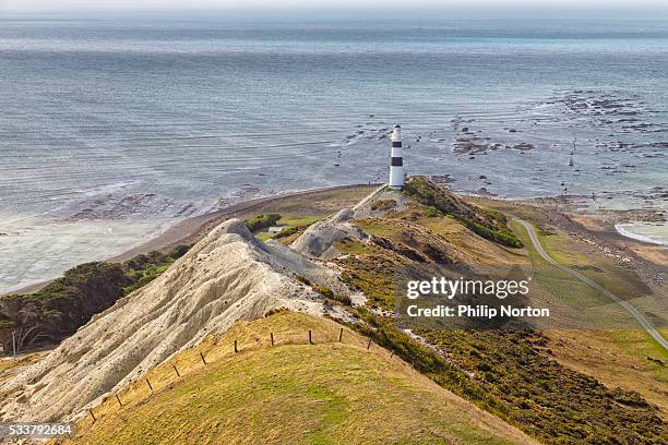 cape campbell peninsula with lighthouse - blenheim stock pictures, royalty-free photos & images