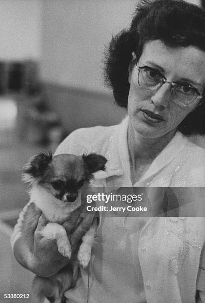 Pomeranian dog being held by it's owner.