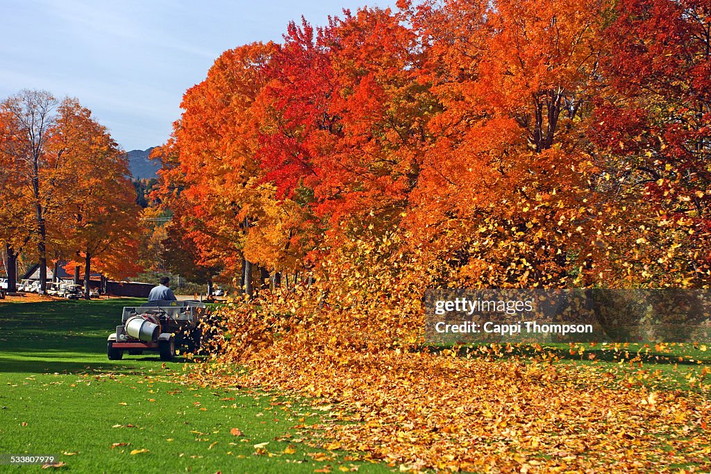 Grounds keeper working