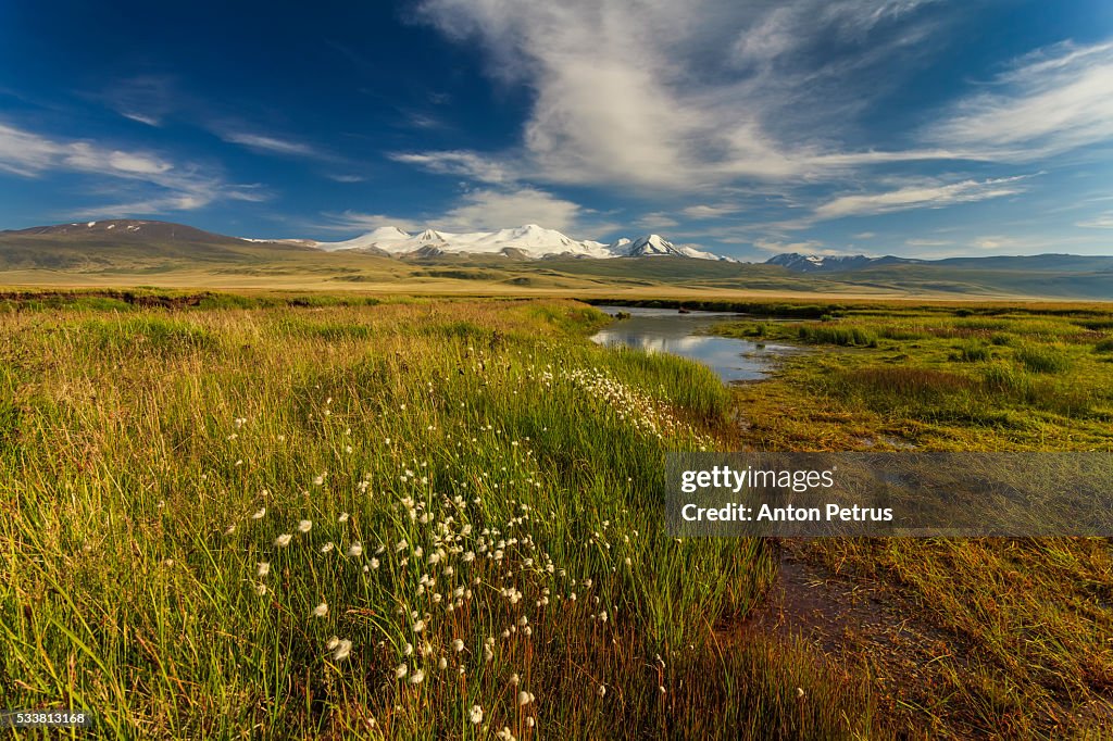 Snowy peaks in the summer