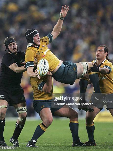 Daniel Vickerman of the Wallabies takes a lineout ball during the Tri Nations Bledisloe Cup match between the Australian Wallabies and the New...