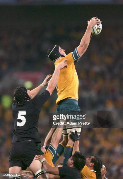 Daniel Vickerman of the Wallabies in action during the Tri Nations series Bledisloe Cup match between the Australian Wallabies and the New Zealand...