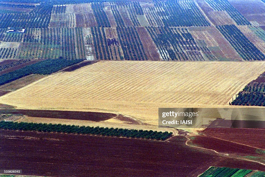 The fields of Jezreel valley seen from Mount Tabor