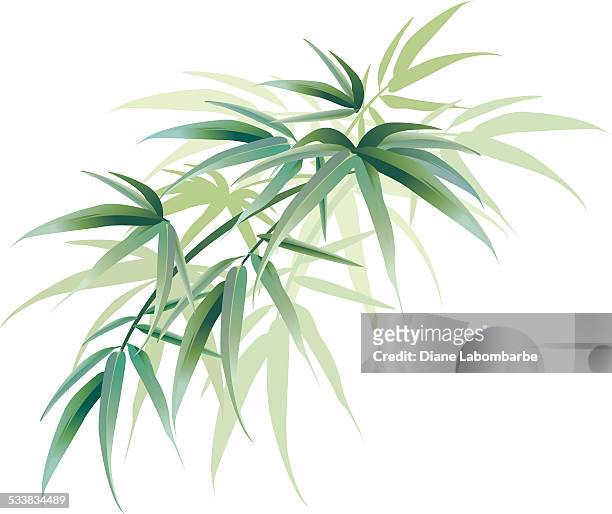 tropische bambus-blätter dekoration green - bambus stock-grafiken, -clipart, -cartoons und -symbole