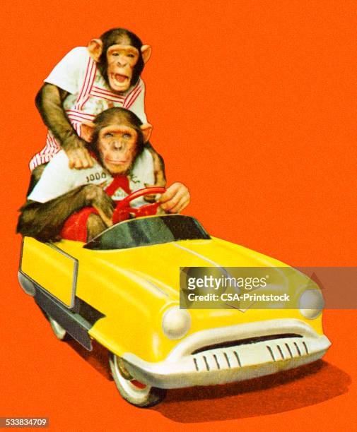 two chimpanzees driving a toy car - chimpanzee stock illustrations