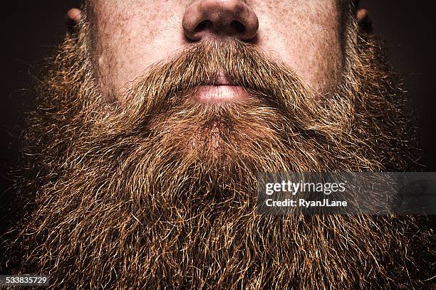 big bärtiger mann porträt - man beard stock-fotos und bilder