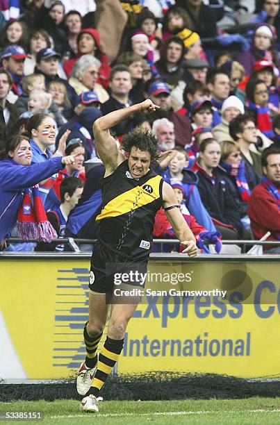 Matthew Richardson for Richmond celebrates a goal during the AFL Round 20 match between the Richmond Tigers and Western Bulldogs at the Telstra Dome,...