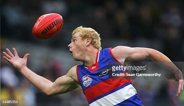 Adam Cooney for the Bulldogs in action during the AFL Round 20 match between the Richmond Tigers and Western Bulldogs at the Telstra Dome, August 14,...