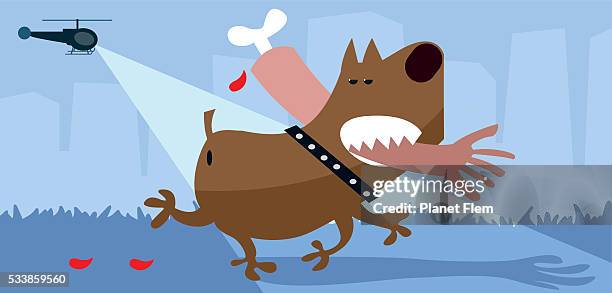 criminal pitbull - american pit bull terrier stock illustrations