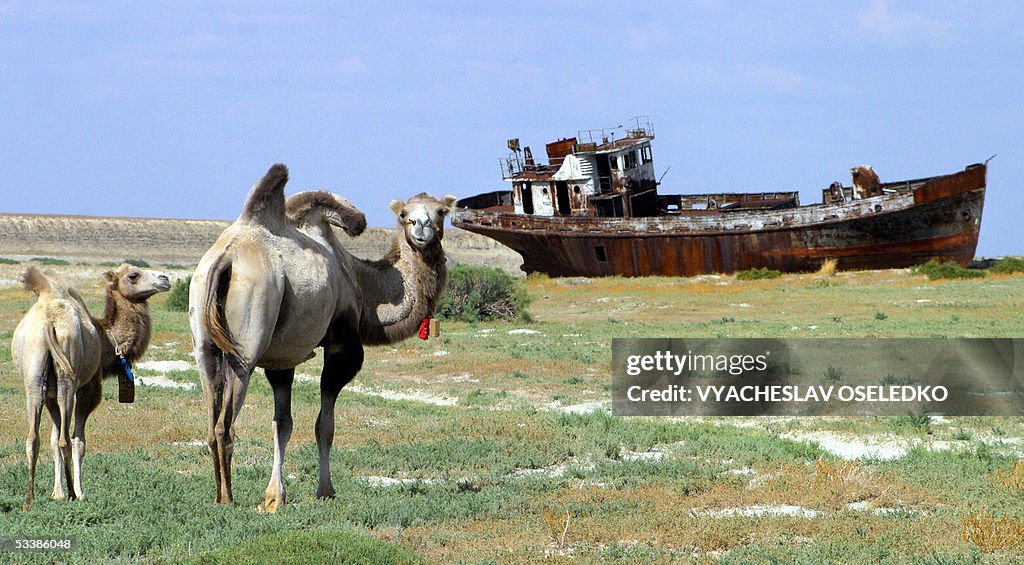TO GO WITH AFP STORY "Dike in the desert