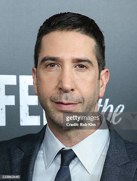 David Schwimmer attends the New York Screening of "Feed The Beast" at Angelika Film Center on May 23, 2016 in New York City.