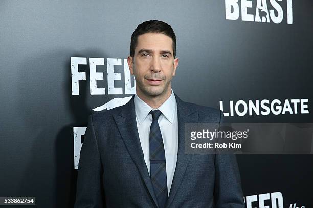 David Schwimmer attends the New York Screening of "Feed The Beast" at Angelika Film Center on May 23, 2016 in New York City.