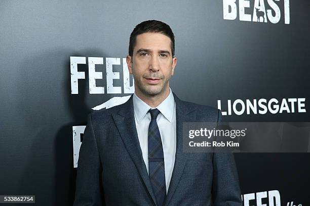 David Schwimmer attends the New York Screening of "Feed The Beast" at Angelika Film Center on May 23, 2016 in New York City.