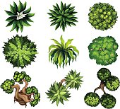 Topview of the different plants