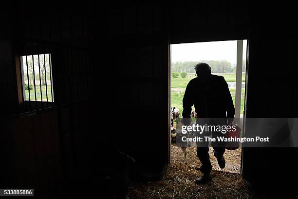Fred Horak works on feeding and watering some of his Jacob sheep at his property on Wednesday May 11, 2016 in Gettysburg, PA. Ever since he and his...