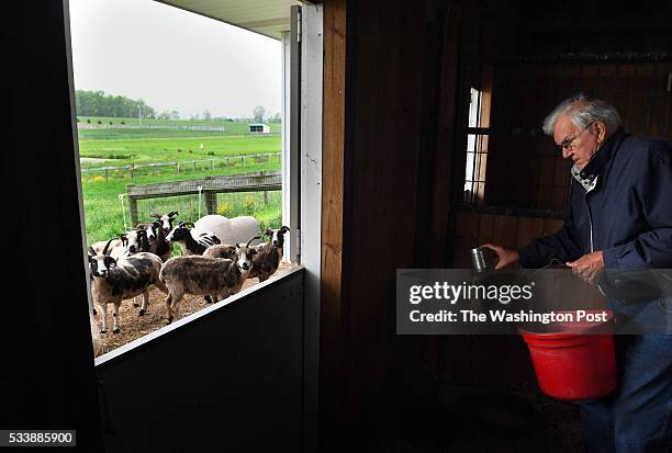 Fred Horak works on feeding some of his Jacob sheep at his property on Wednesday May 11, 2016 in Gettysburg, PA. Ever since he and his wife, Joan...