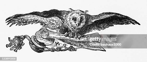 owl flying and carrying a scroll engraving, circa 1892 - owl flying stock illustrations