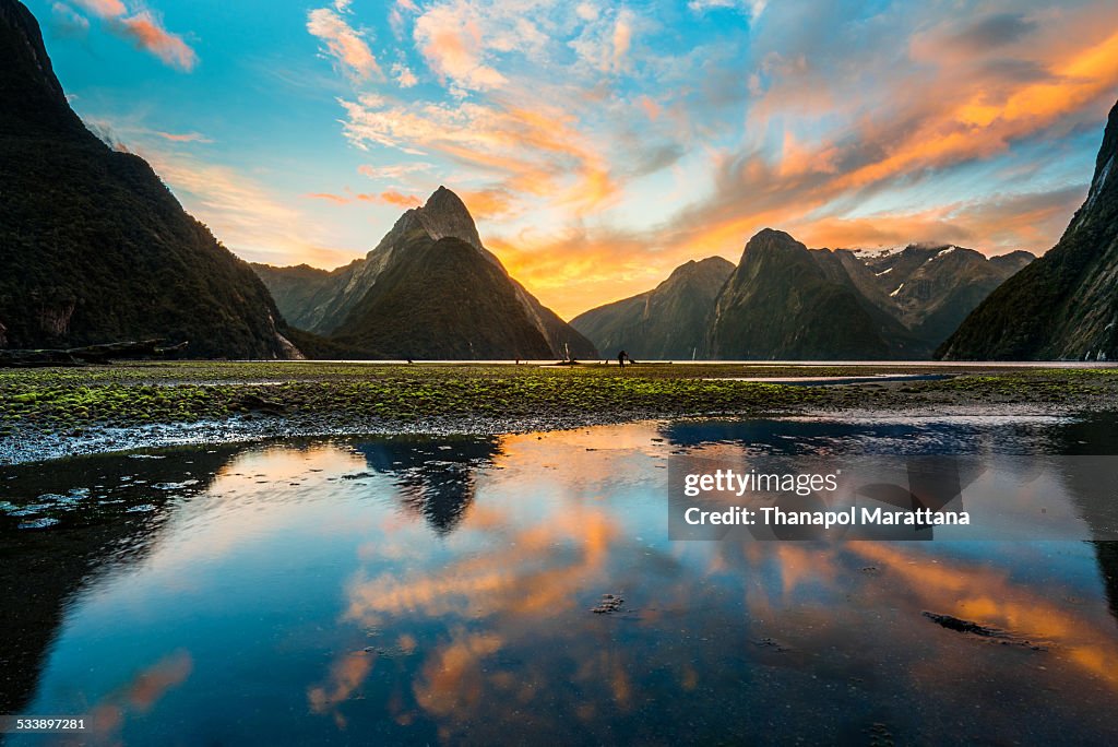 Twilight Milford sound, New Zealand