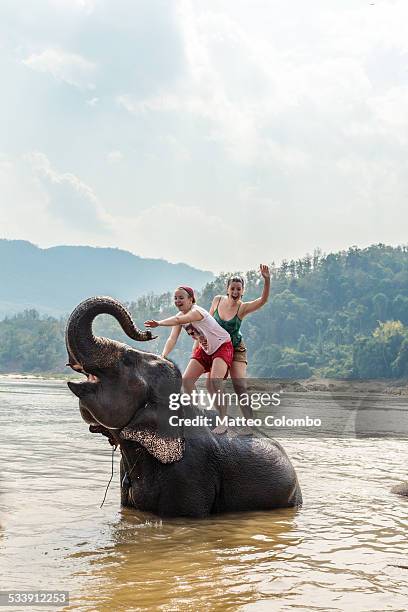 two young women riding an elephant in the mekong - montare un animale montare foto e immagini stock