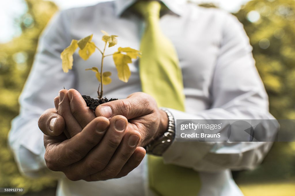 Close up of a businessman holding a plant in hands.