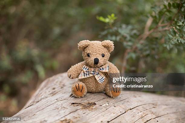 little bear - peluche foto e immagini stock
