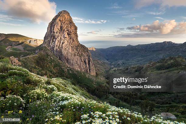 "garajonay" national park (la gomera island. canaries) - gomera ストックフォトと画像