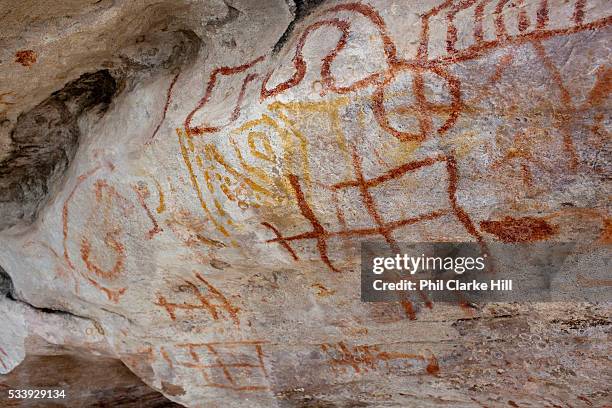 Cave paintings in Monte Alegre, near Santarem in Para, Amazonia, Brazil.