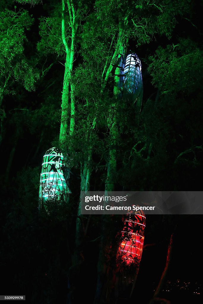 Giant Animal Lanterns Light Up Taronga Zoo For Vivid Sydney