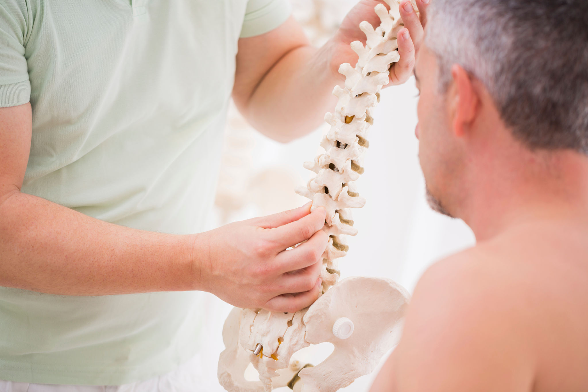 osteopath showing the vertebras of the spin to his patient osteopath showing the vertebras of the spin to his patient