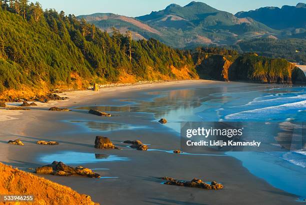 crescent beach reflections - cannon beach foto e immagini stock