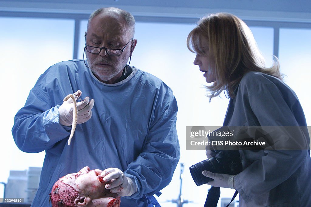 CSI: Crime Scene Investigation, season five