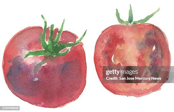 Dpi Dave Johnson illustration of tomatoes.