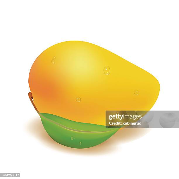 mango on a white background - mango white background stock illustrations