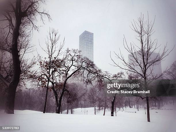 winter in nyc - central park winter ストックフォトと画像