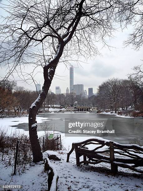 winter in nyc - fountain stock pictures, royalty-free photos & images