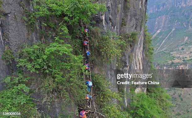 Children of Atule'er Village climb on the vine ladder on a cliff on their way home in Zhaojue county in southwest China's Sichuan province on May 14,...