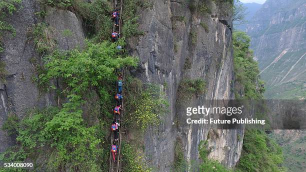 Children of Atule'er Village climb on the vine ladder on a cliff on their way home in Zhaojue county in southwest China's Sichuan province on May 14,...