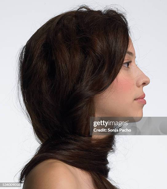 18 055 Female Profile Long Hair Stock Photos High Res Pictures And 18-055-female-profile-long-hair-stock-photos-high-res-pictures-and