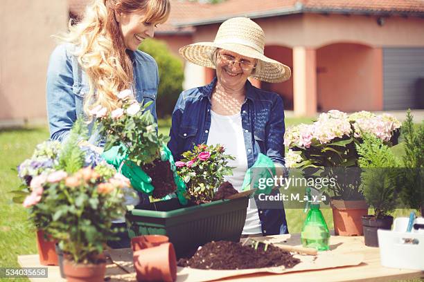 gärtnern - adult woman garden flower stock-fotos und bilder