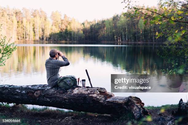 observación de pájaros junto al lago - a ver pájaros fotografías e imágenes de stock